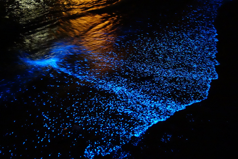 Starry Beach, Maldives